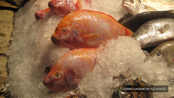 photo 229431