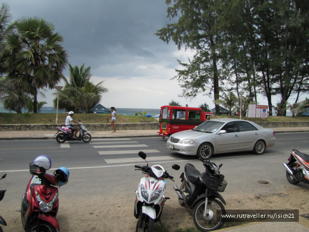 photo 229446
