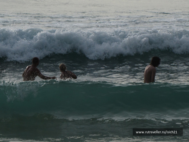 photo 229464