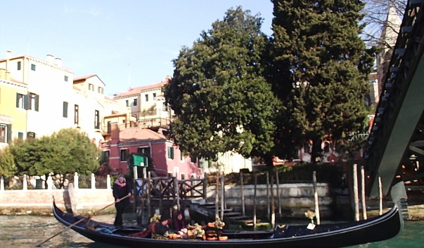 DSCF0635