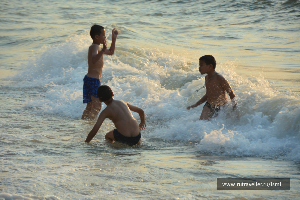 photo 1270746