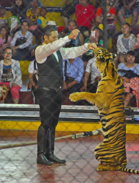 photo 1288456