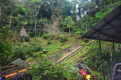 photo 1447461