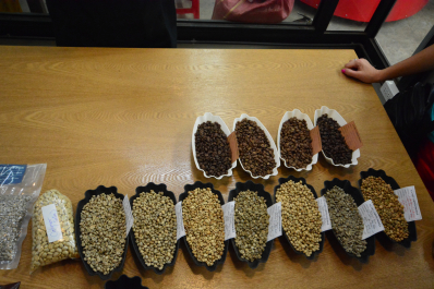 photo 1447844