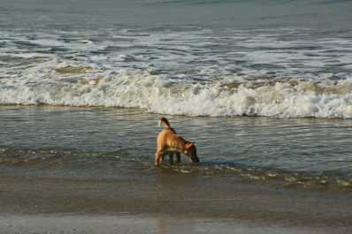 photo 1455205