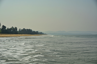 photo 1455211
