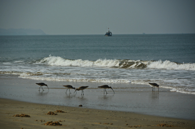 photo 1455214