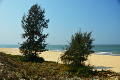 photo 1455220