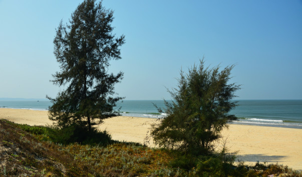 DSC_5150