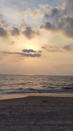 photo 1486039