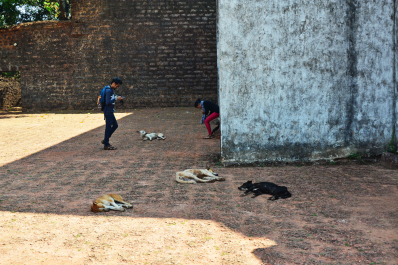 photo 1459411