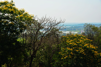 photo 1459416