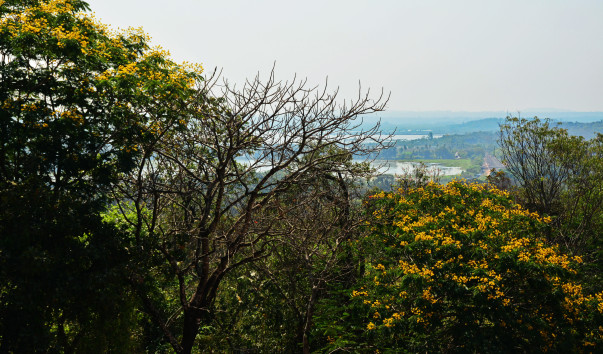 DSC_5449