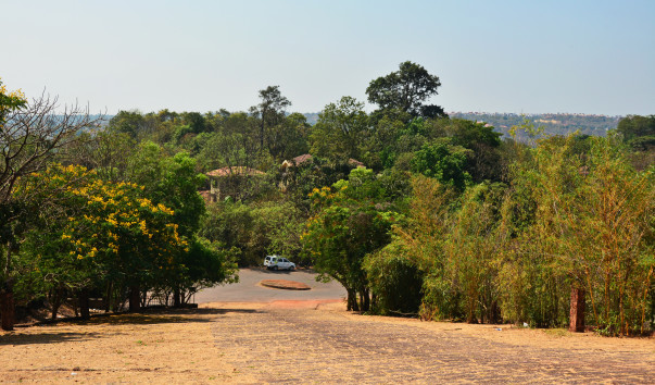 DSC_5450