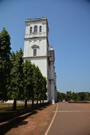 photo 1471954