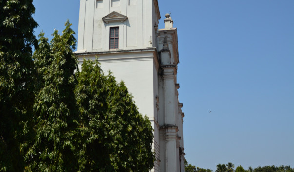 DSC_5641