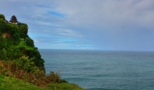 DSC_9695