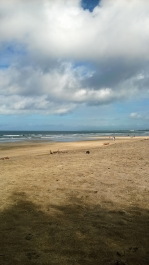 photo 1624922