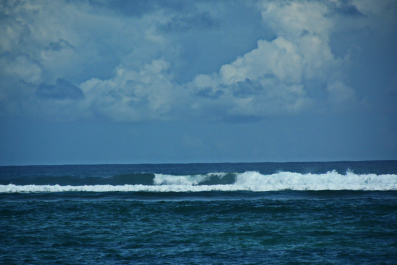 photo 1648819