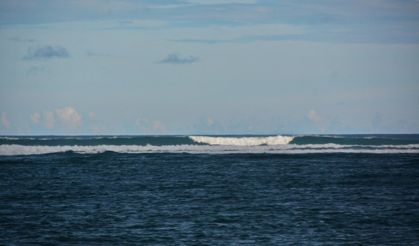 DSC_0064