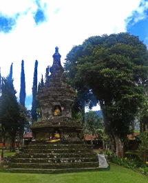 photo 1689469