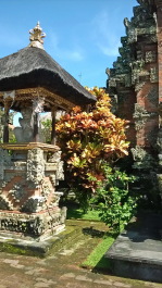 photo 1694462