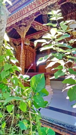 photo 1695596