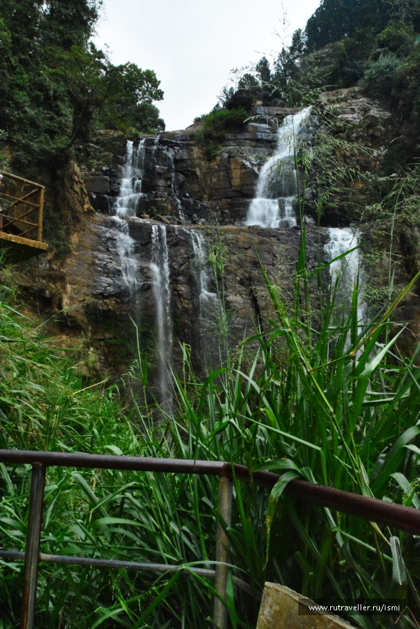 photo 1783234
