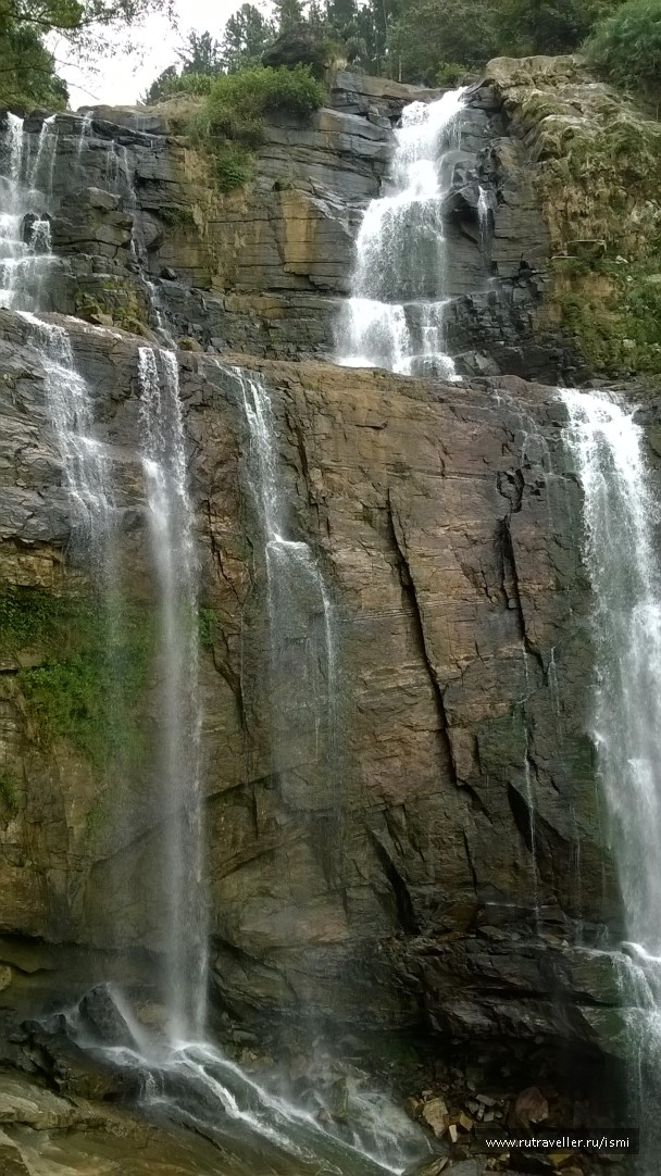 photo 1783774