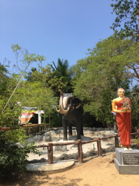 photo 1796662