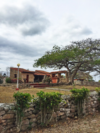 photo 1948452