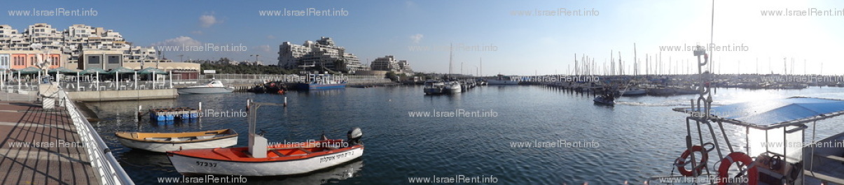 photo 381794