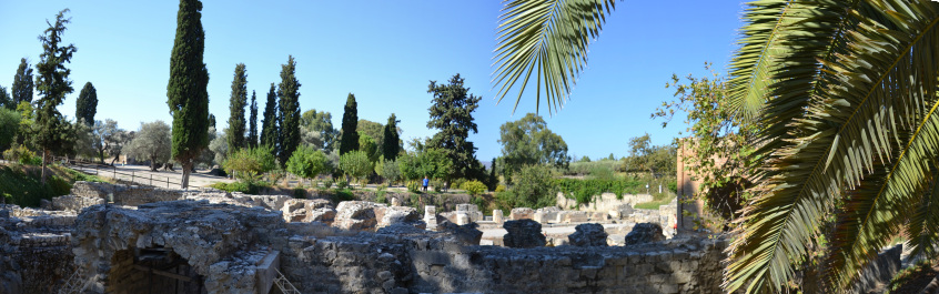 photo 1106974