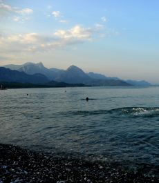 photo 1182154