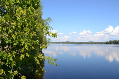 photo 813326