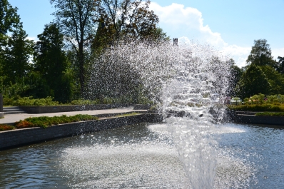 photo 813330