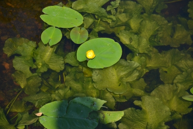photo 813363