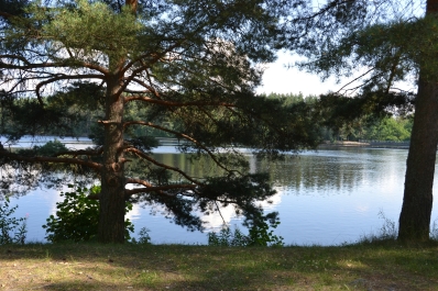 photo 814756