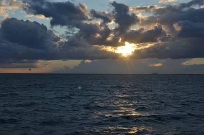 photo 837492