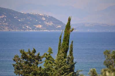 photo 1106740