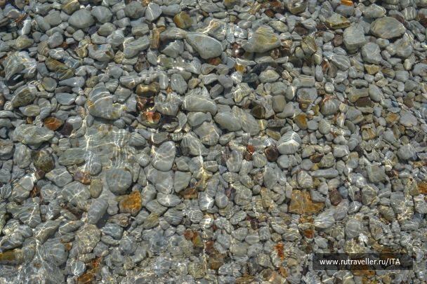 photo 845526