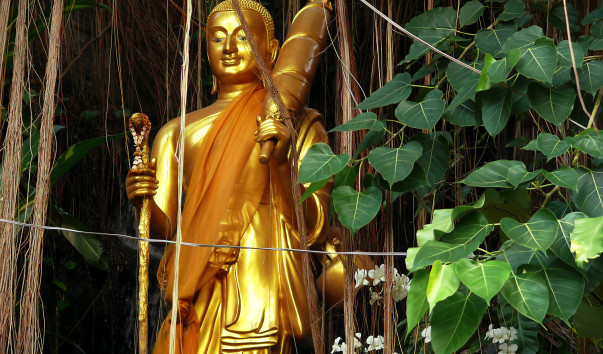 Храм золотого будды (Wat Trai Mit)