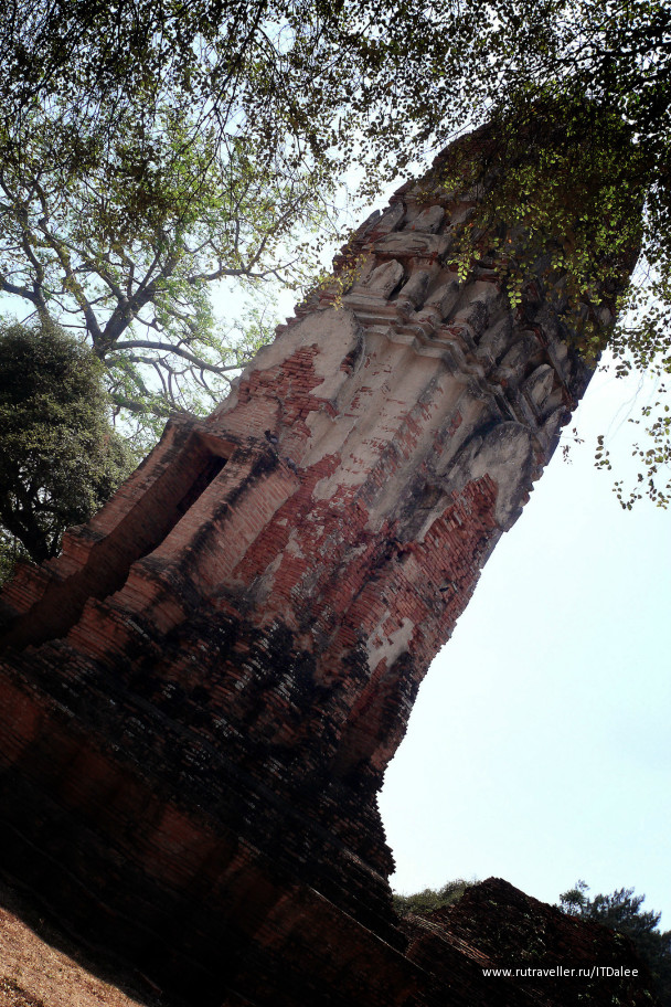 photo 328065