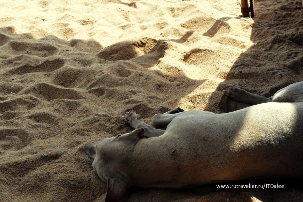 photo 336347