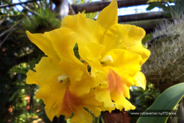 photo 336372