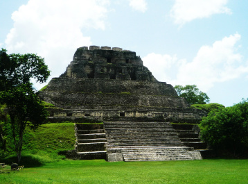 photo 246942