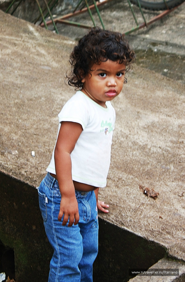 photo 246967