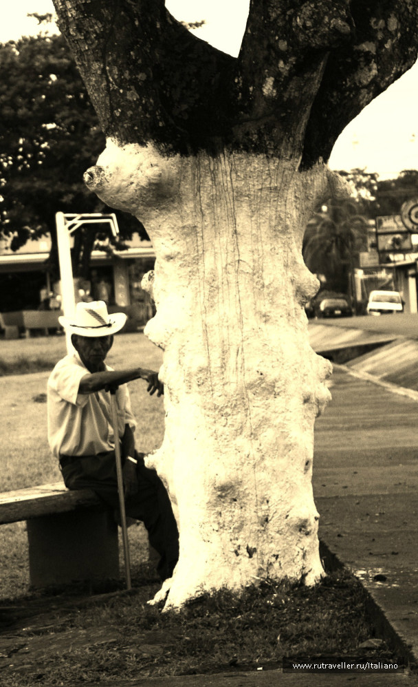 photo 246968