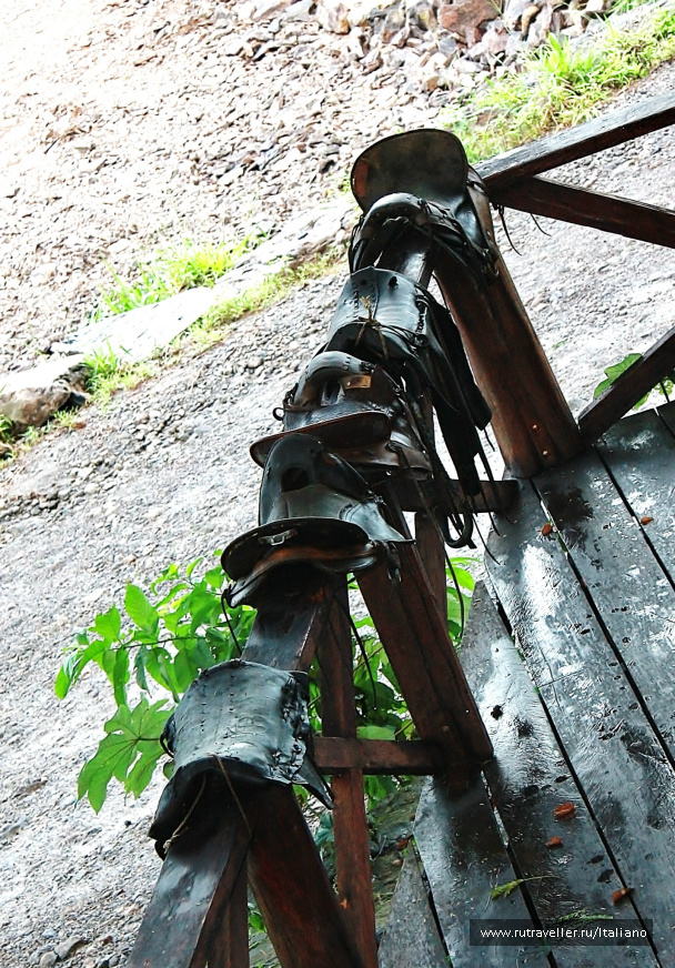 photo 246980