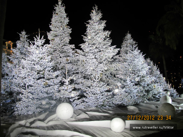 photo 453421